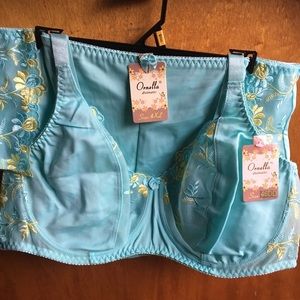 NWT Ornella Bra And Panty Set